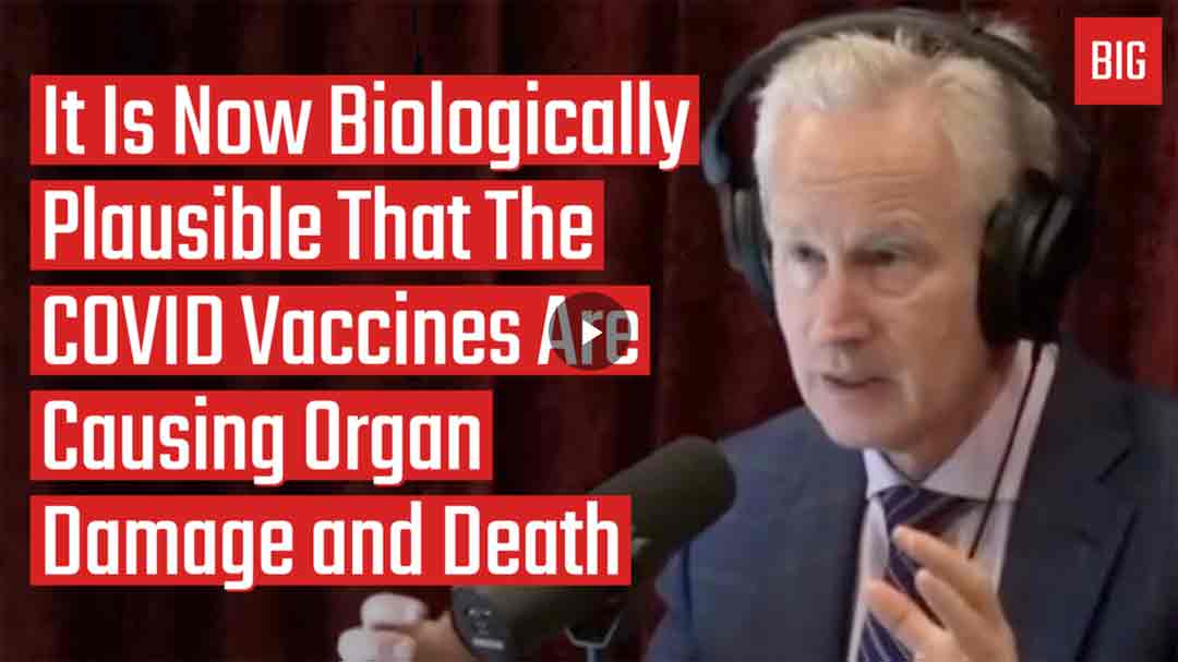 It Is Now Biologically Plausible That The COVID Vaccines Are Causing Organ Damage and Death – Dr. Peter McCullough