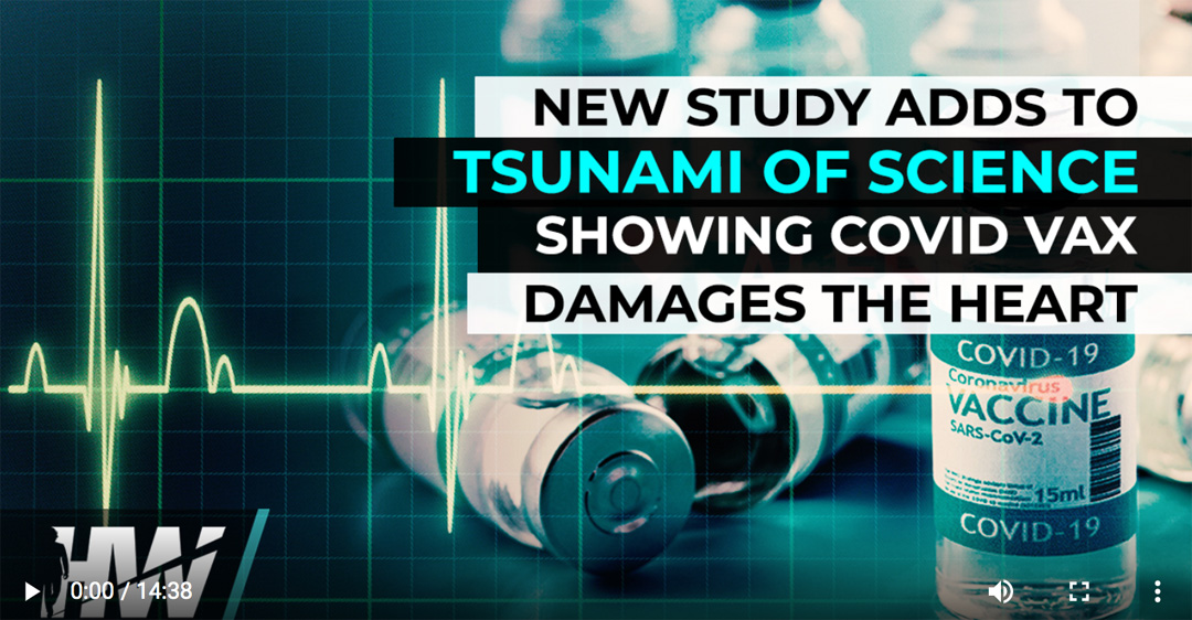 HE HIGHWIRE | New Study Adds To Tsunami of Science Showing Covid Vax Damages The Heart